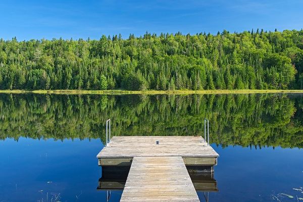 Canada-Quebec-La Mauricie National Park Tree reflection and dock in Lac Modene